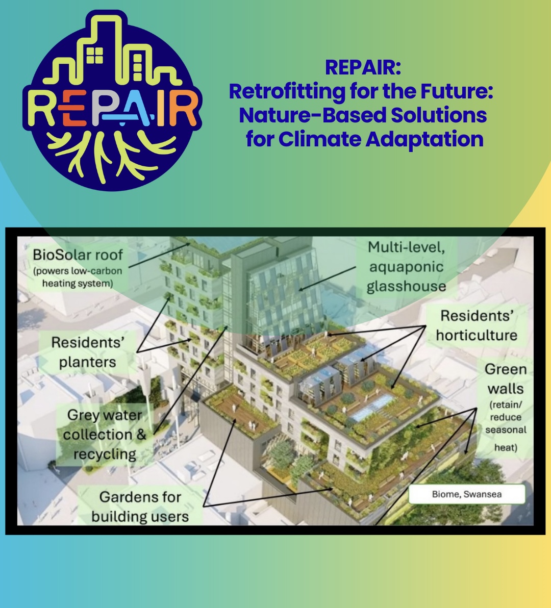 Green Heart of the City. REPAIR in Swansea: biophilic design, community care, and climate resilience working as one.