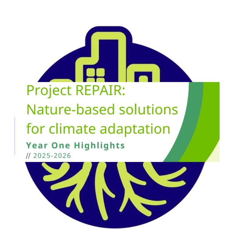 Project REPAIR Publishes its First Annual Report