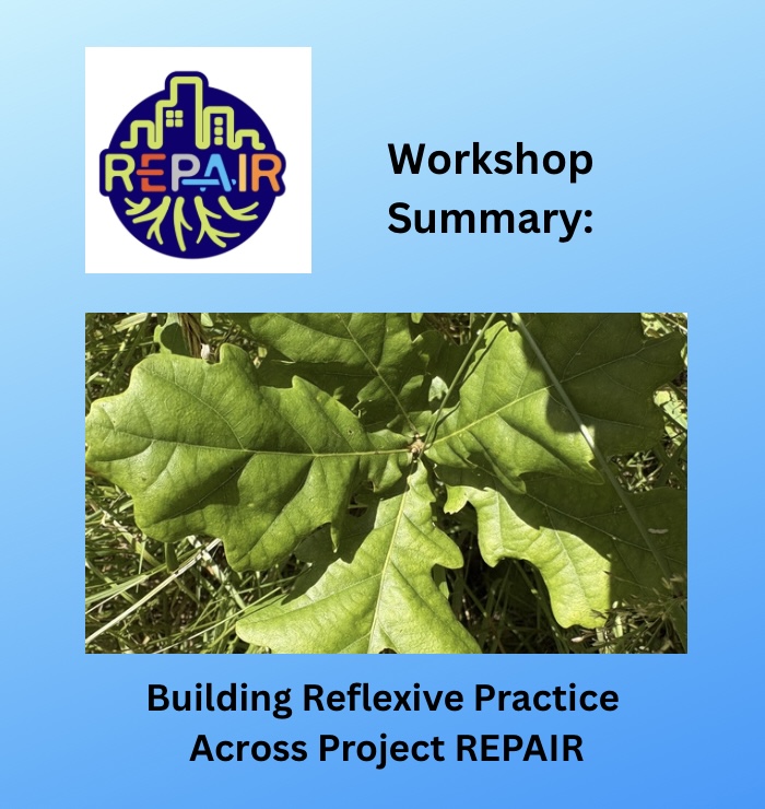 Building Reflexive Practice across Project REPAIR